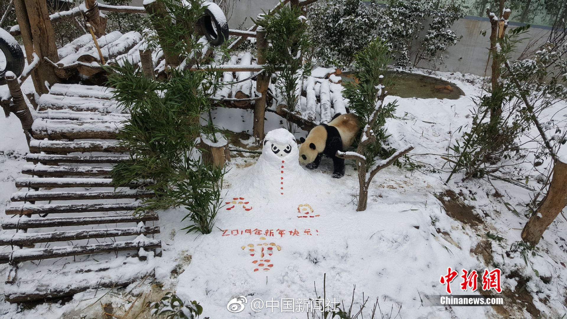 迎新晚会主持词开场白